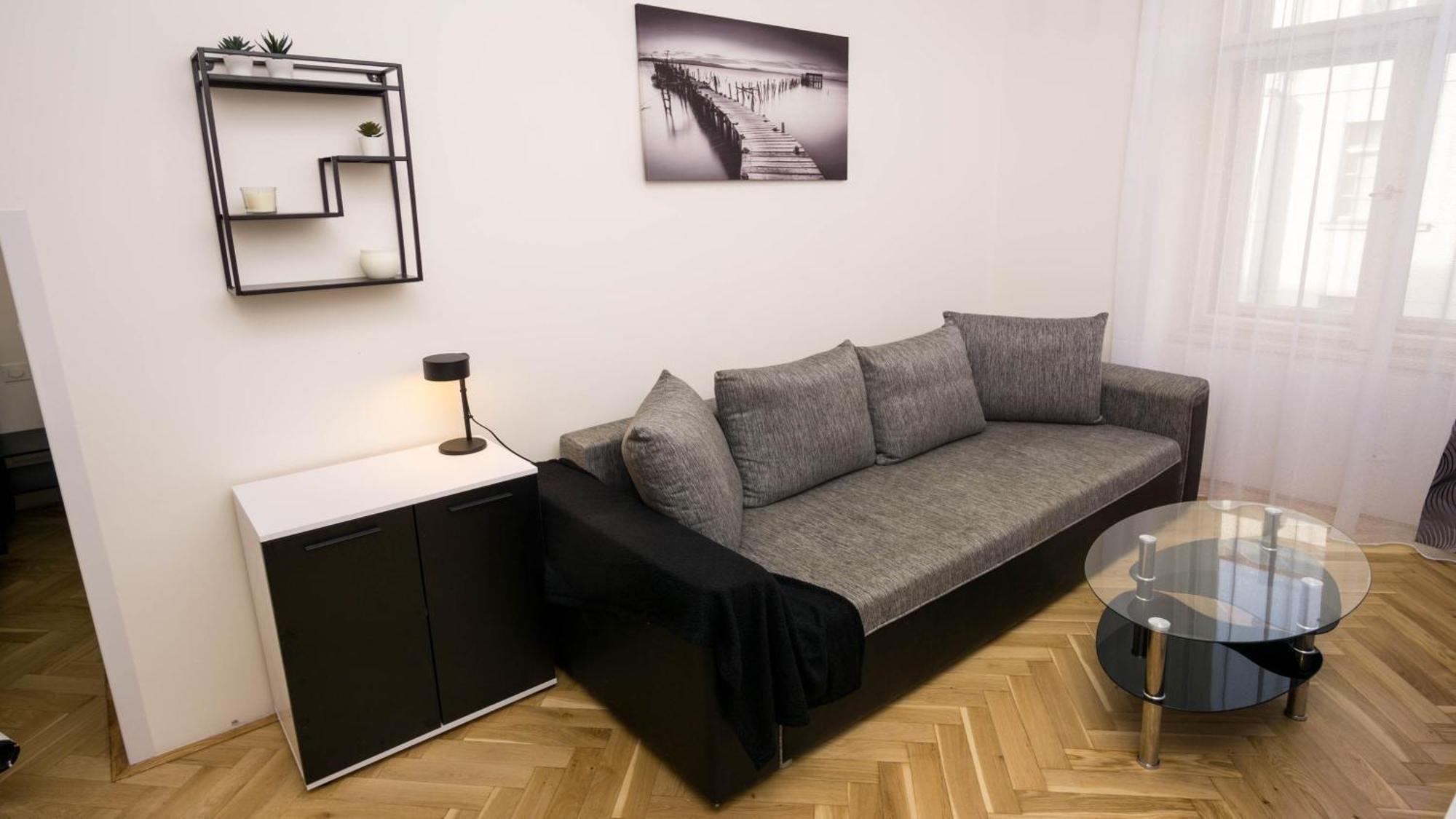Black & White Apartment Prague By Wenceslas Square And Muzeum Номер фото
